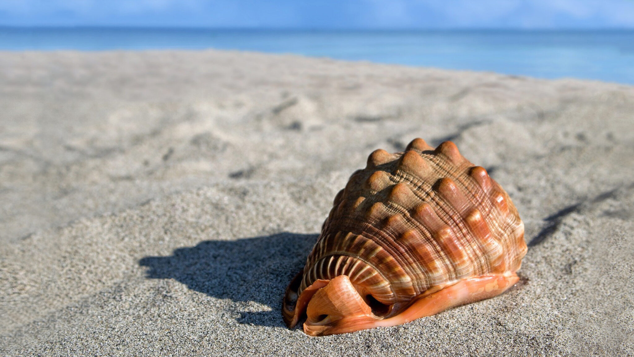 Read more about the article Warum chronischer Stress dick und krank machen kann