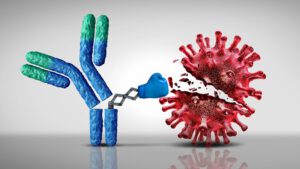 Read more about the article Was sind Antikörper? Was sind Antigene?