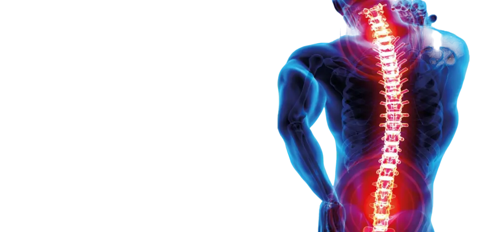 Read more about the article Was ist der Unterschied zwischen einem Bandscheibenprolaps und einer Bandscheibenprotusion?